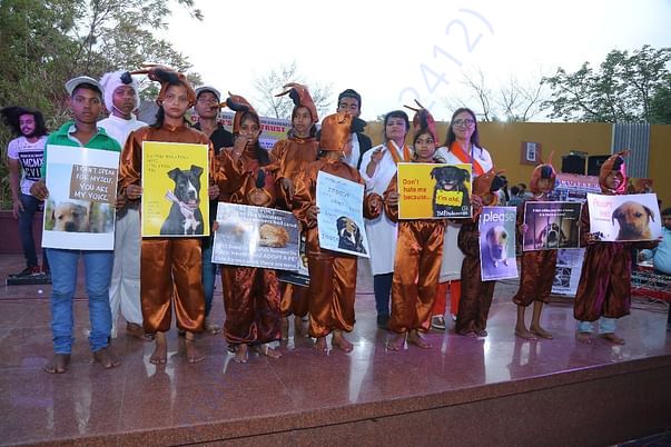 Awareness/Adoption drives