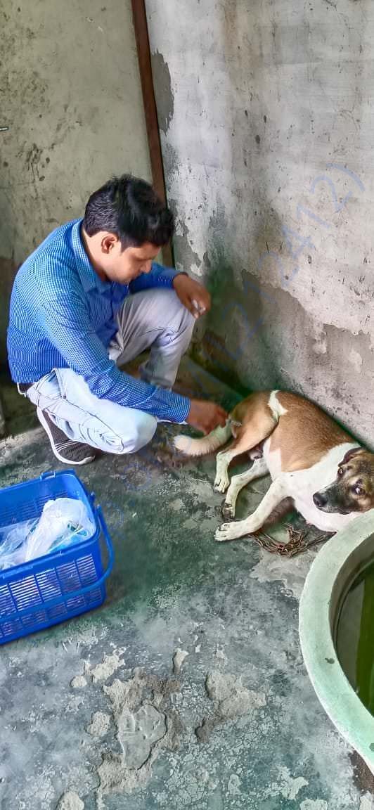 Our resident vet pharmacist Hemant