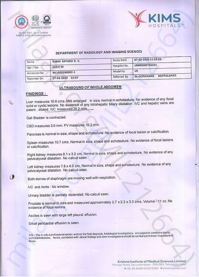 Ultrasound Report