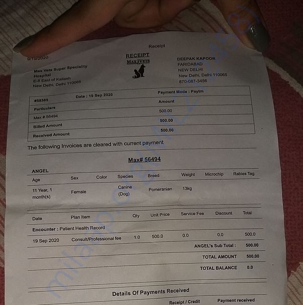 Medical Bill