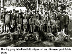 Save Tiger Song