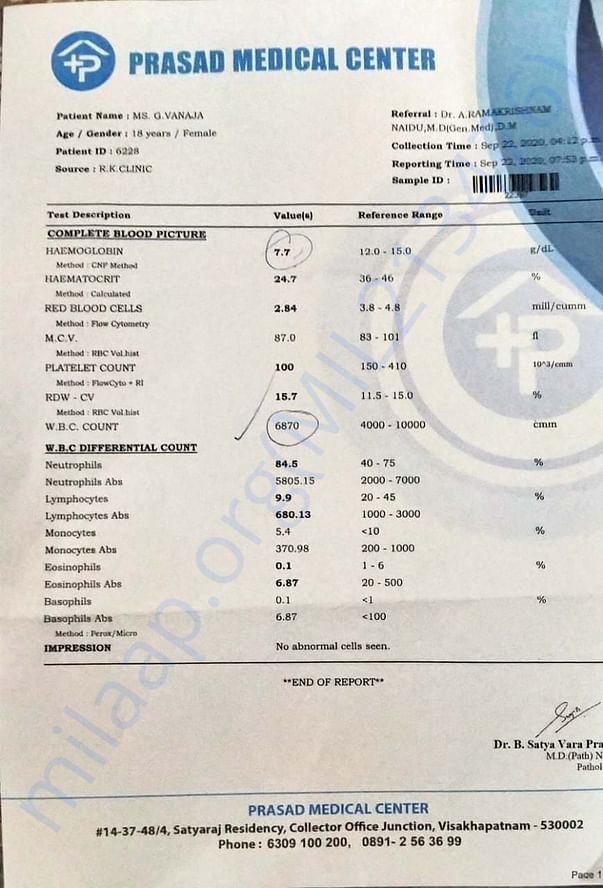 This the report