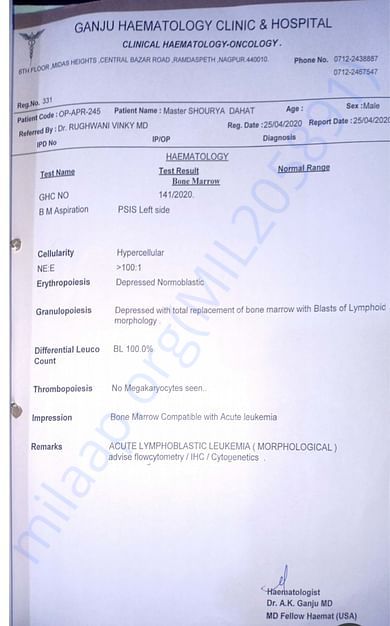 Blood Cancer Diagnosis Repory
