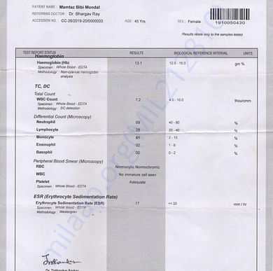 Medical Report