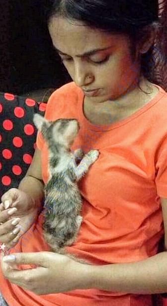 No more stray....they are family