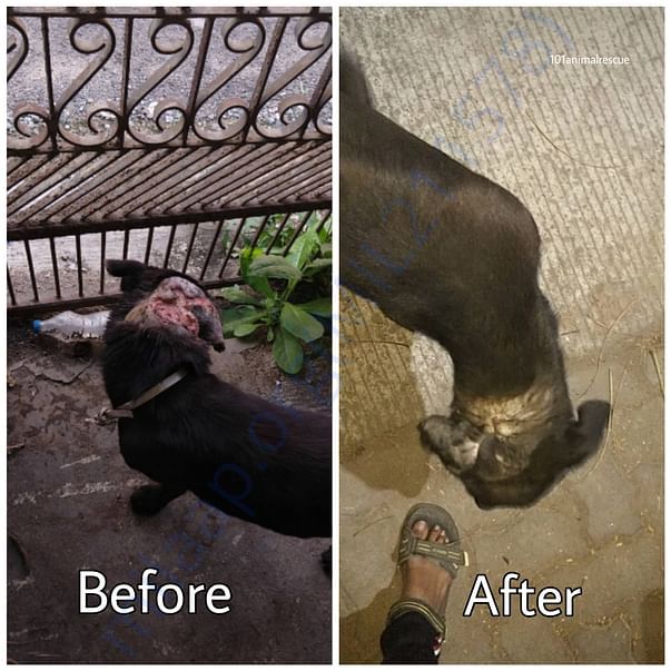 Yet another successful rescue