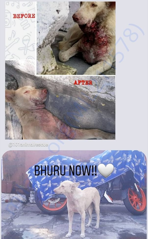 Bhuru's amazing transformation