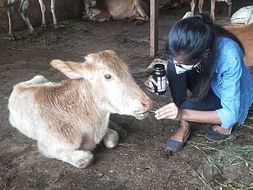Help Me To Raise Fund for helpless animals suffering from misery.