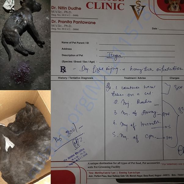 Tingri's treatment