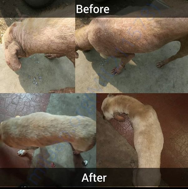 Kabir's transformation