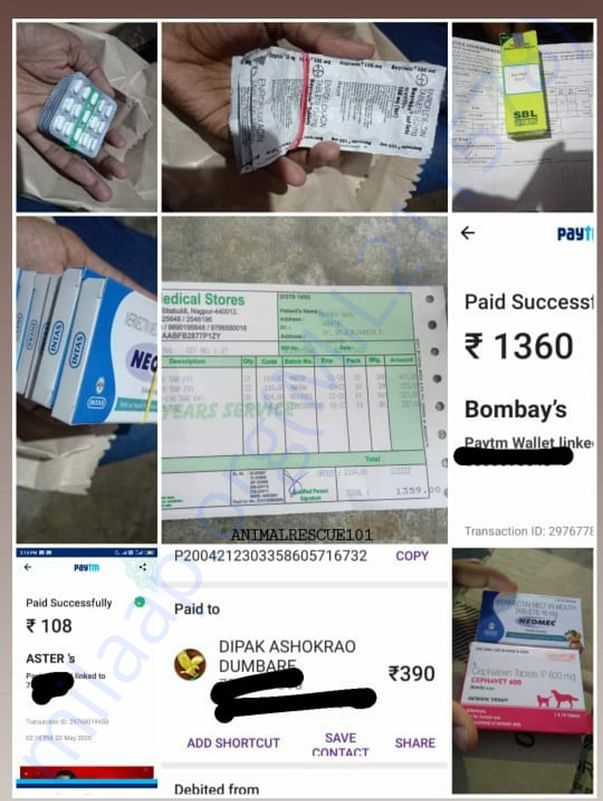 Our basic rescue medical expenses