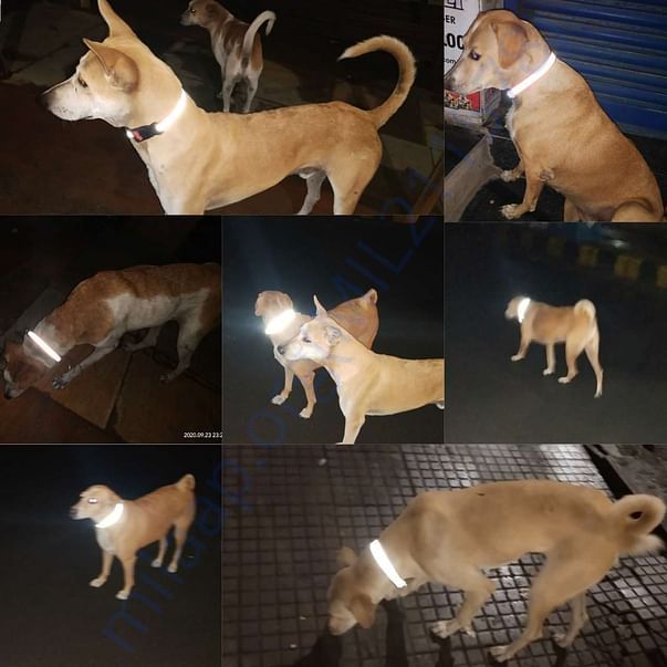 Reflective collar drive