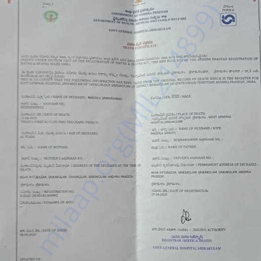 Medical Report