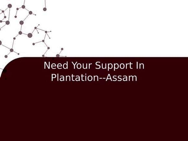 Need Your Support In Plantation--Assam