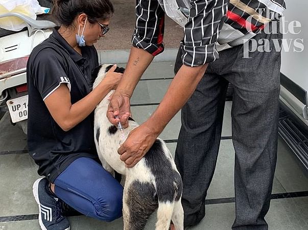 Support Niharika To Help Voiceless Souls