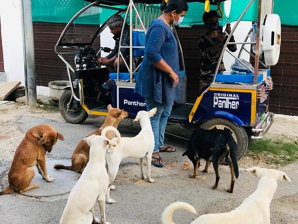Help to Spay &Neuter