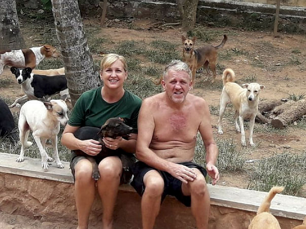 Help these Street Dog Saviours