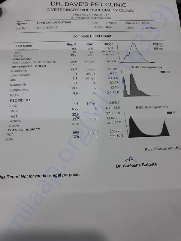 Blood Test Reports