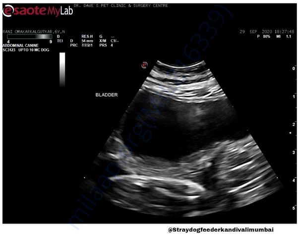Sonography
