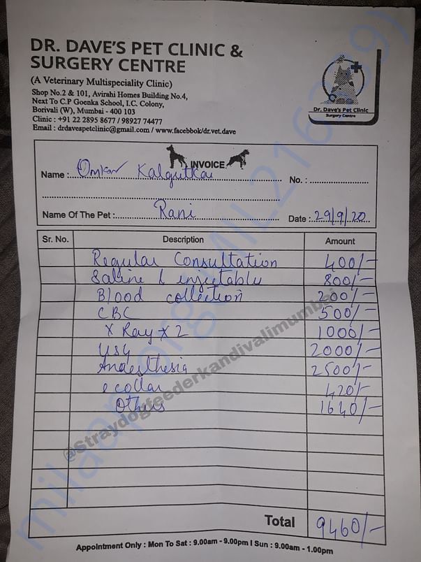 Vets Bill