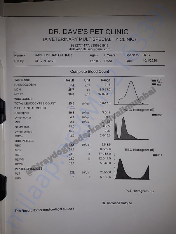 Blood Test Reports