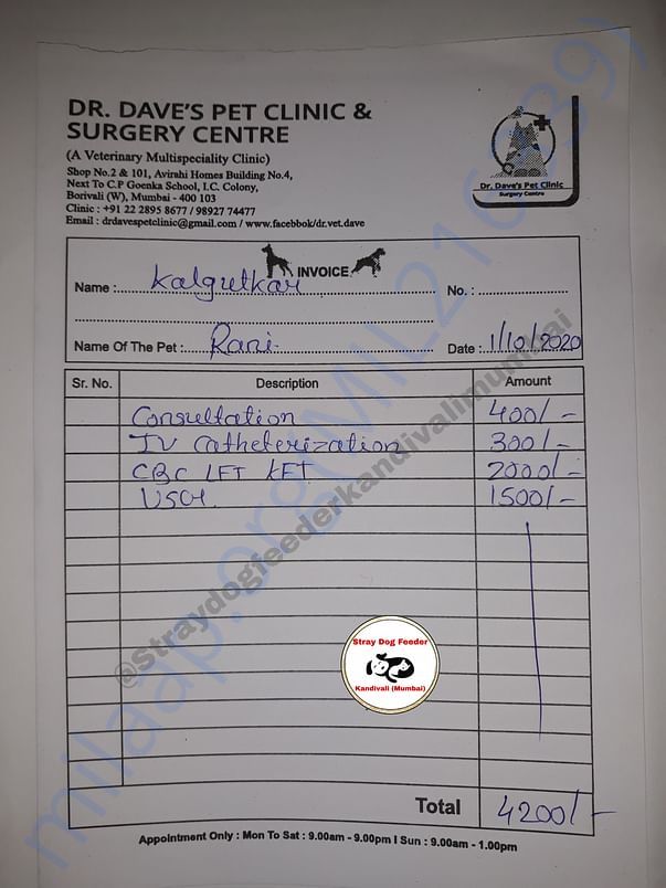 Bill Amount On 2nd Vet Visit