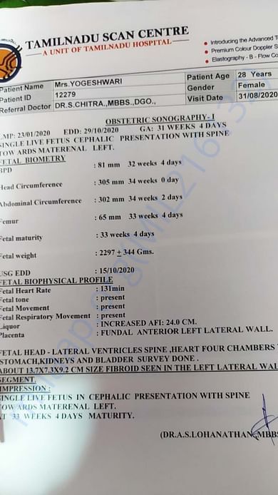 Document