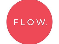 Project Flow
