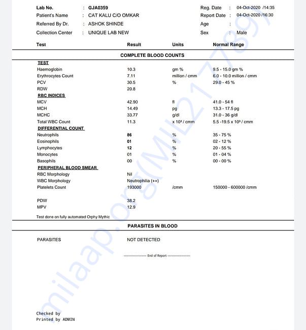 Blood Test Reports