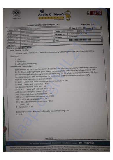 Medical Report