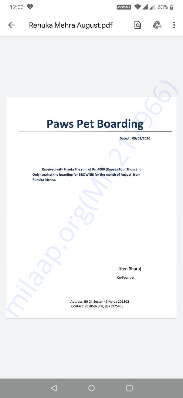 Permanent boarding amout of brownie old dog