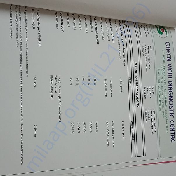 Medical Report