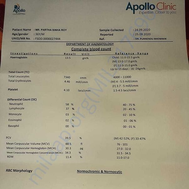 Medical Report