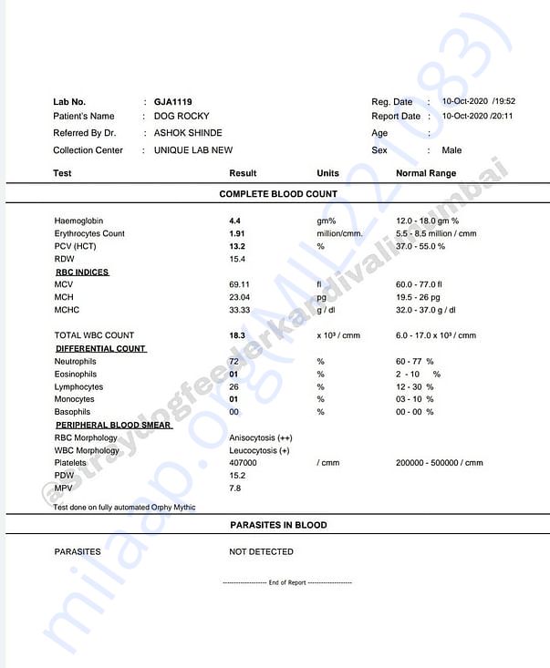 Blood Test Reports