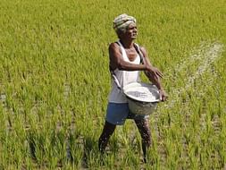 Support to relieve land documents from bank for helpless farmer.