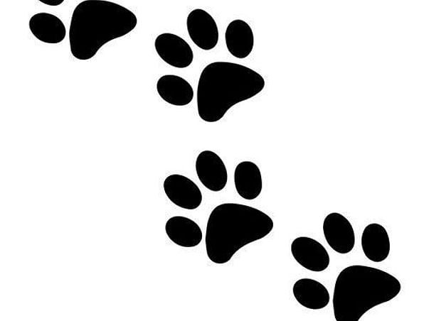 Save a Paw