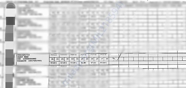 1st Semester Result
