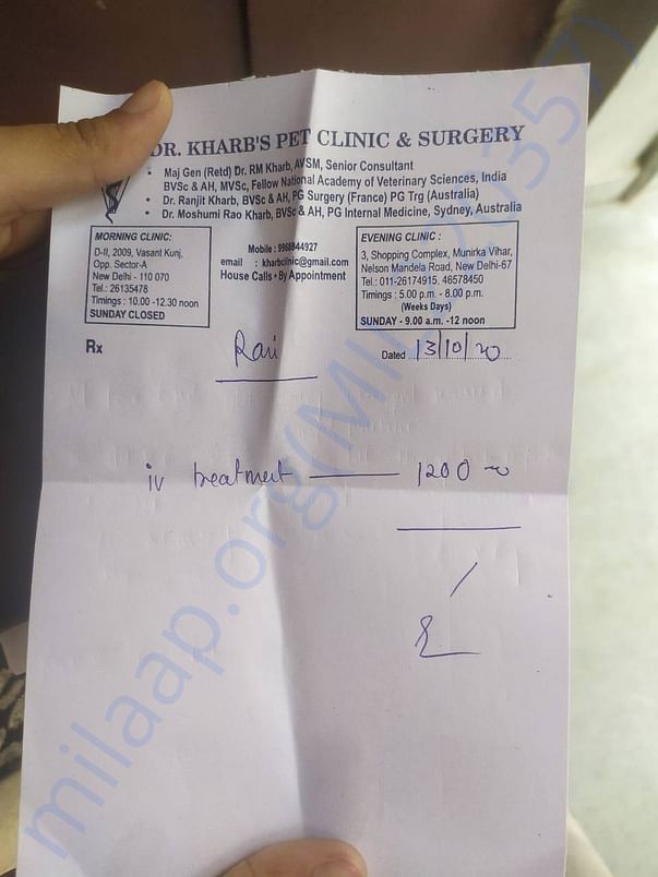 1st Treatment Charges |Dr.Kharab Pet Clinic & Surgery