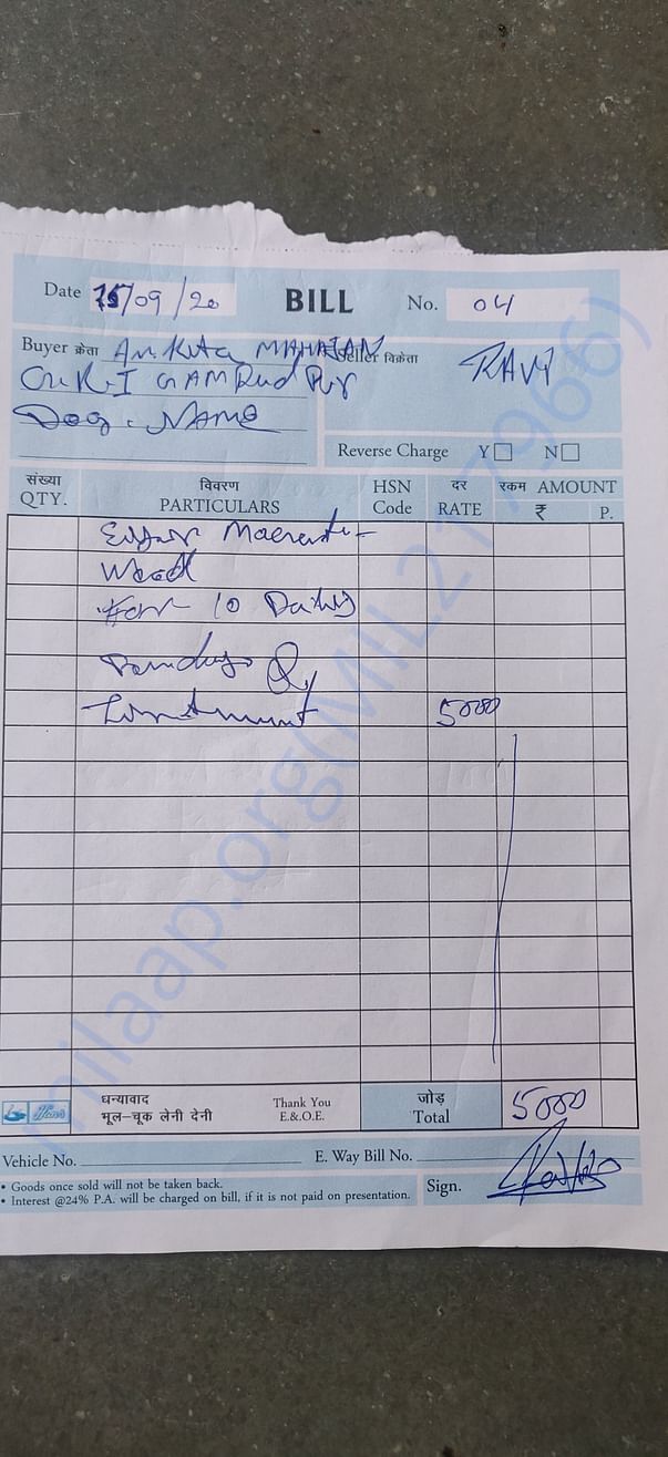 Bill for treatment of neck and ear maggot wound