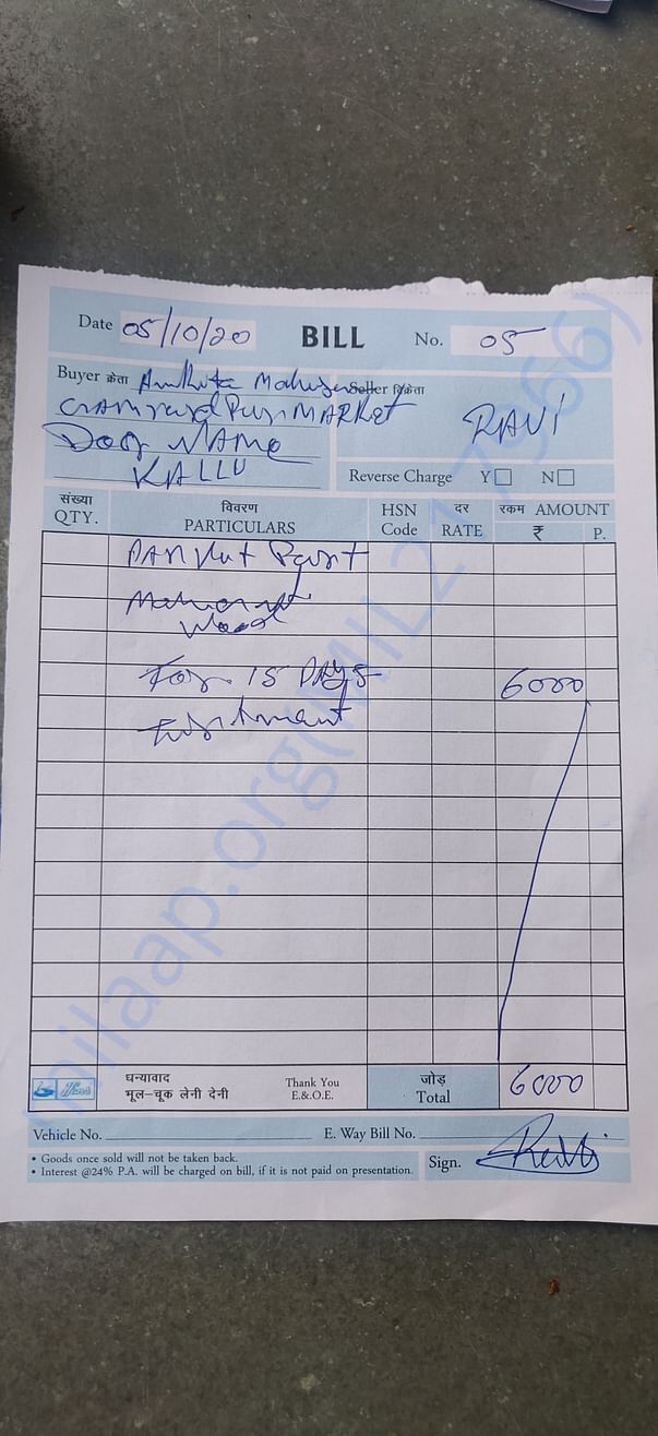 Bill for treatment of maggot wound near private parts of a dog