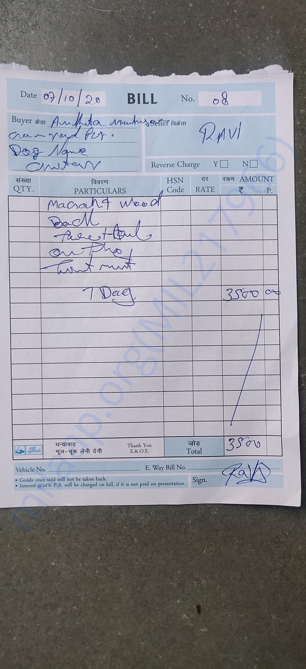 Bill for treatment of maggot wound on back of a dog