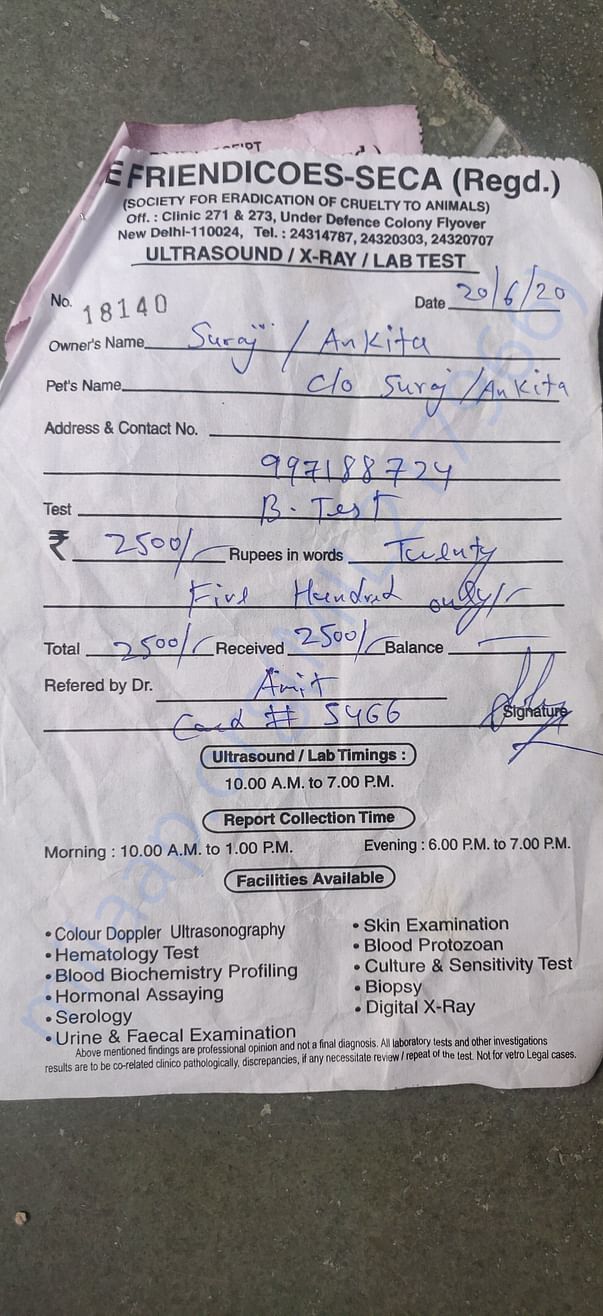 Receipt for blood test of a dog with skin issue