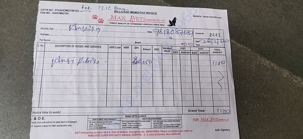 Receipt for anti rabies vaccine for puppies
