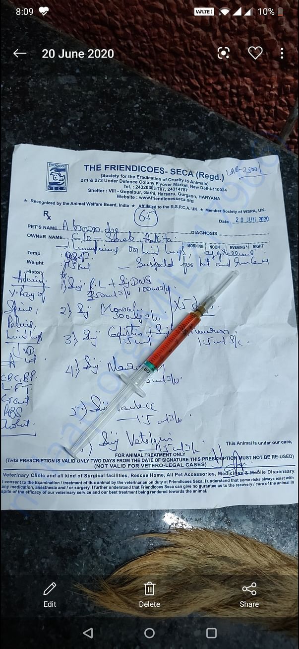 Bill for blood test of a dog - hit and run accident