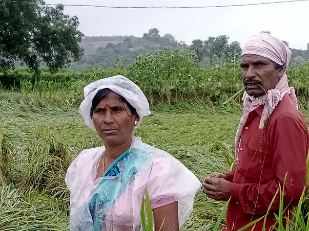 Help katrothu Gotya for paddy field drown in rain water