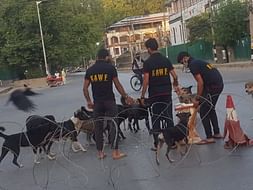 Donations for KAWF Operations