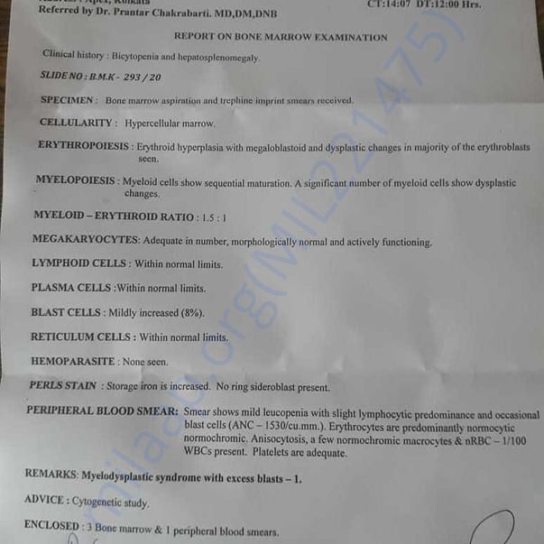 Medical Report on Bone Marrow Examination