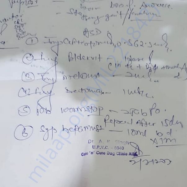 Medical Bill