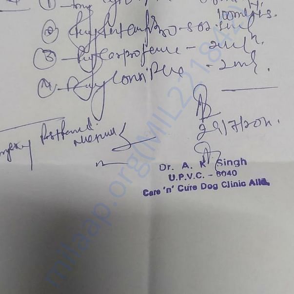 Medical Bill