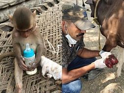 Help Sonu Continue His 28 years Of Service Of Rescuing Animals